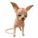 Sphynx Plush Cat